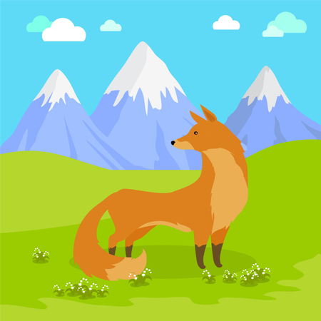 Red Fox  Illustration