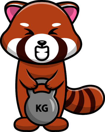 Red Panda Lifting Fitness Ball  Illustration