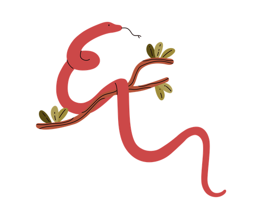 Red snake crawling on tree branch  Illustration