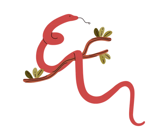 Red snake crawling on tree branch  Illustration