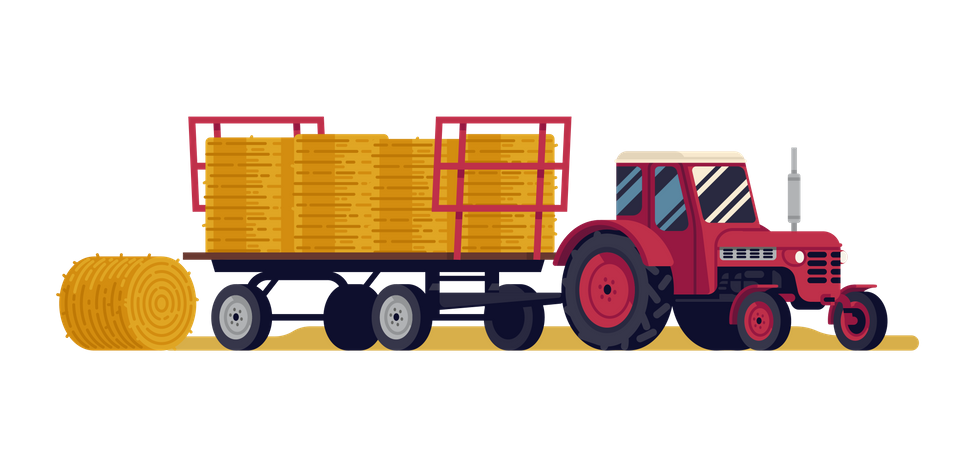 Red tractor pulling an articulated trailer loaded with round hay bales  Illustration