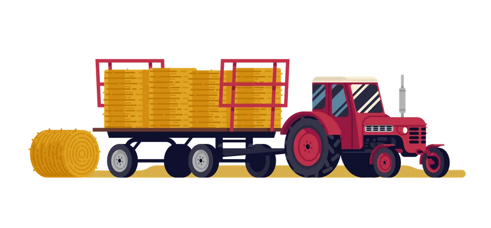 Red tractor pulling an articulated trailer loaded with round hay bales  Illustration