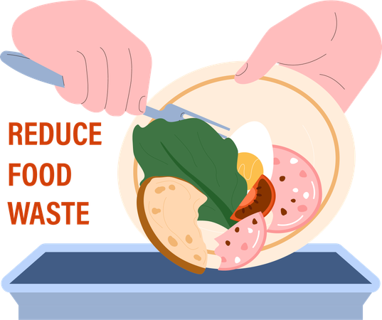Reduce food waste  Illustration