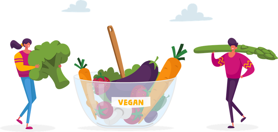Refeição vegana para um estilo de vida saudável  Ilustração