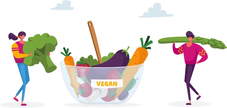Refeição vegana para um estilo de vida saudável  Ilustração