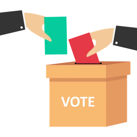 Regional General Election Box  일러스트레이션