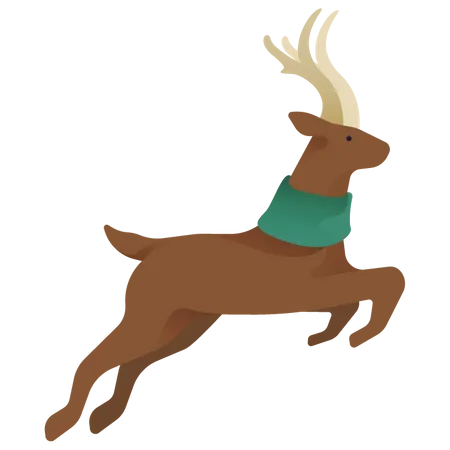 Reindeer Illustration