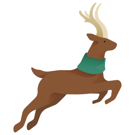 Reindeer  Illustration