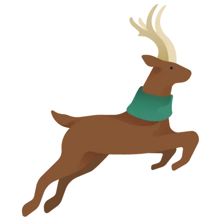 Reindeer  Illustration