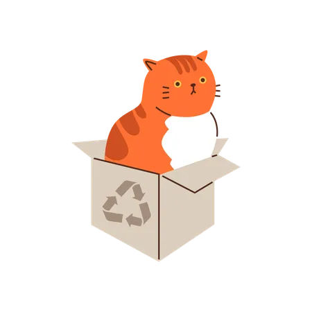 Representación de un gato naranja a rayas perezoso relajándose a gusto en una caja de cartón.  Ilustración