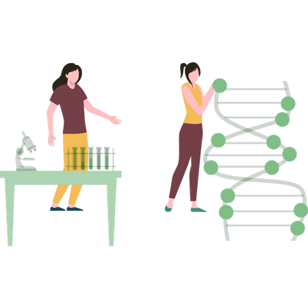 Research On Dna  Illustration