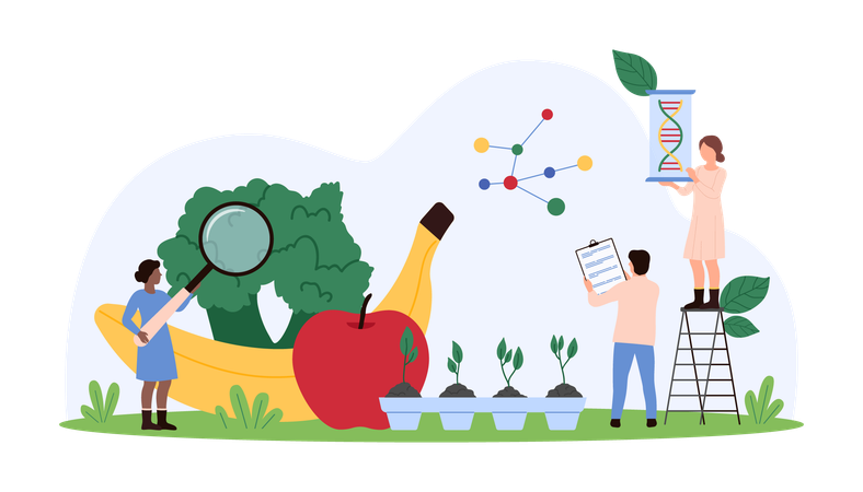 Researchers Studying Genetically Modified Foods  Illustration