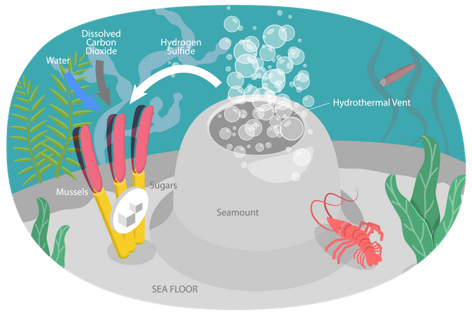 Respiradero hidrotermal  Ilustración