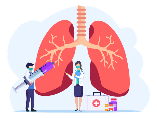 Respiratory System Examination  Illustration