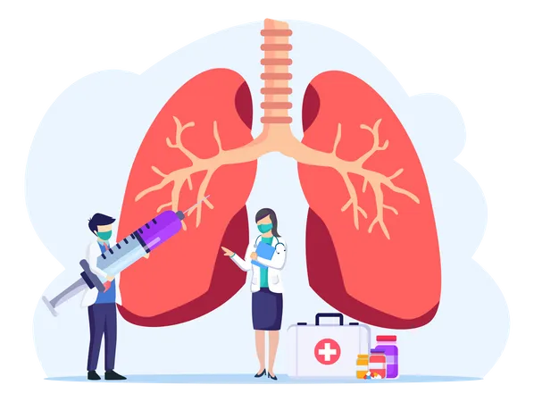 Respiratory System Examination  Illustration