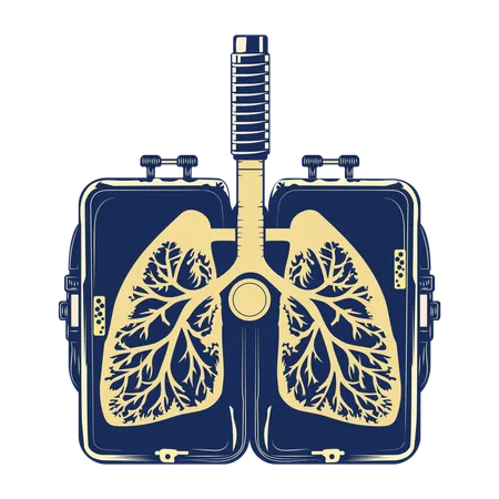 Respiratory System  Illustration