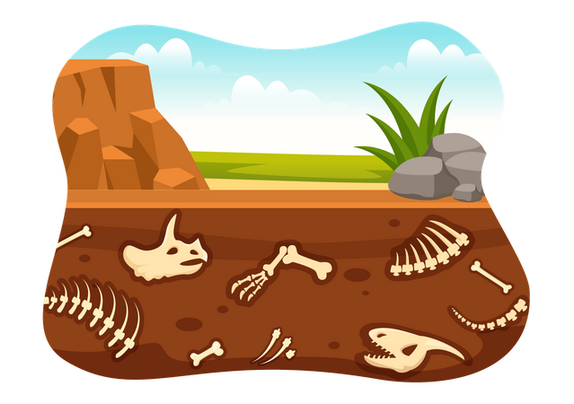 Restes fossiles sous un lit de sable  Illustration