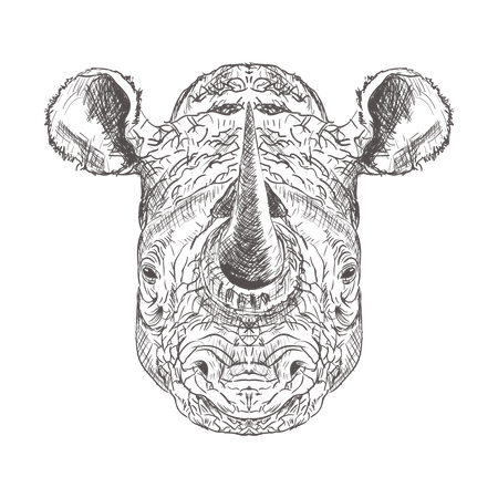 Rhinoceros  Illustration