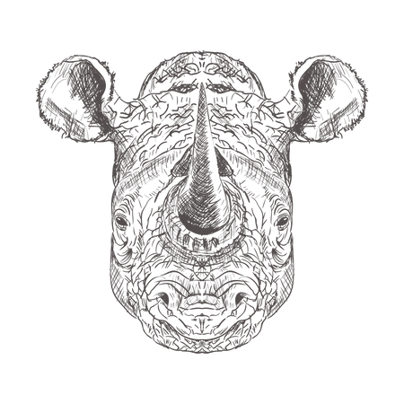 Rhinoceros  Illustration