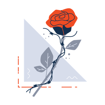 Rosa  Ilustración