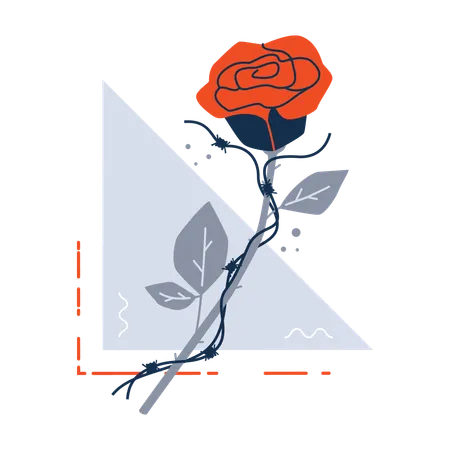Rose  Illustration