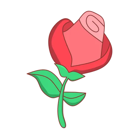 Rose flower  Illustration