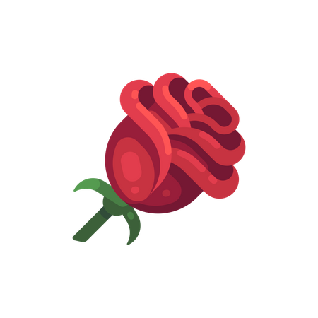 Rose  Illustration