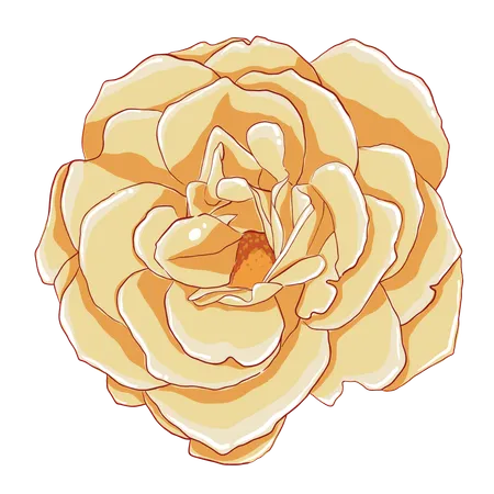 Une rose jaune  Illustration