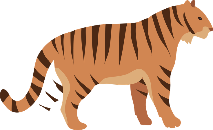 Roter Tiger  Illustration