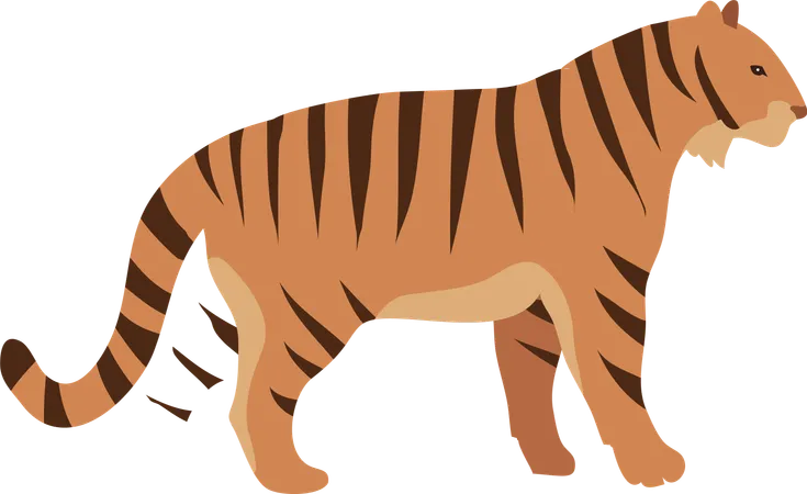 Roter Tiger  Illustration