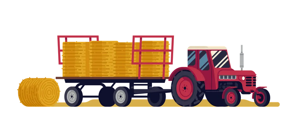 Roter Traktor zieht einen Sattelanhänger, beladen mit runden Heuballen  Illustration