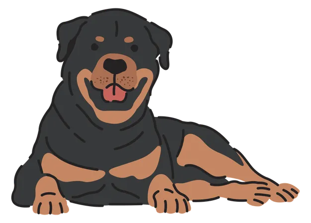 Rottweiler dog  Illustration