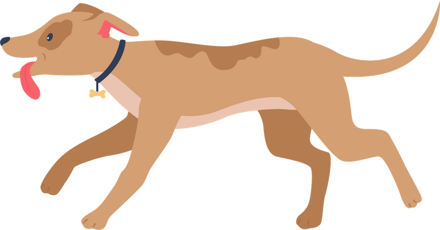 Running happy hound  Illustration