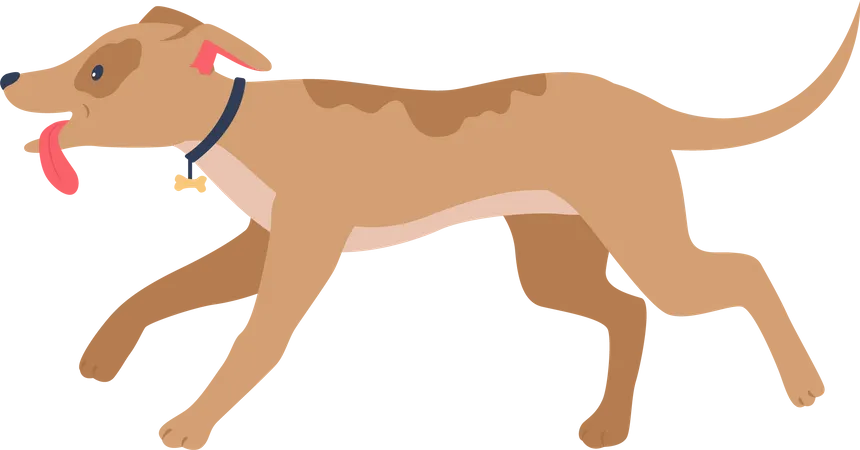 Running happy hound  Illustration