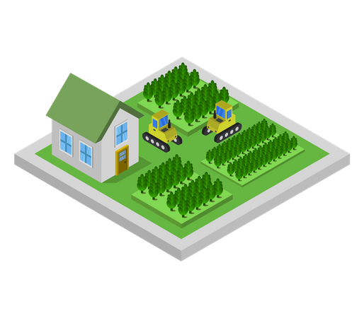 Rural House  Illustration