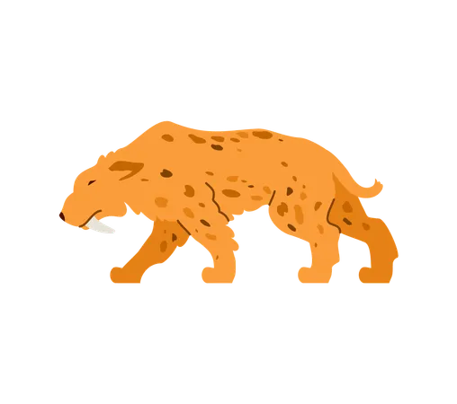 Saber-toothed tiger predatory wild animal of prehistoric stone age  Illustration