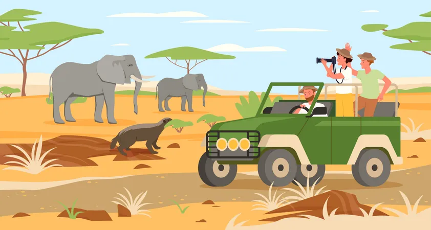 Safari dans la jungle  Illustration