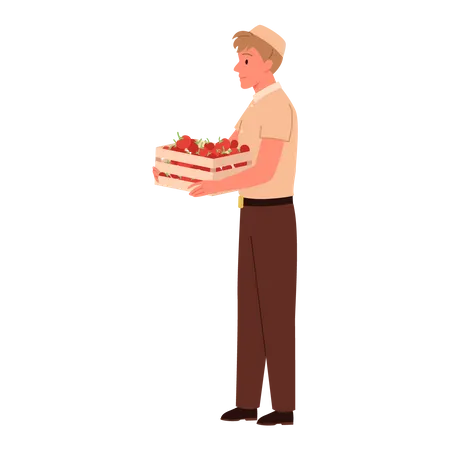 Sales Boy holding tomato basket  Illustration