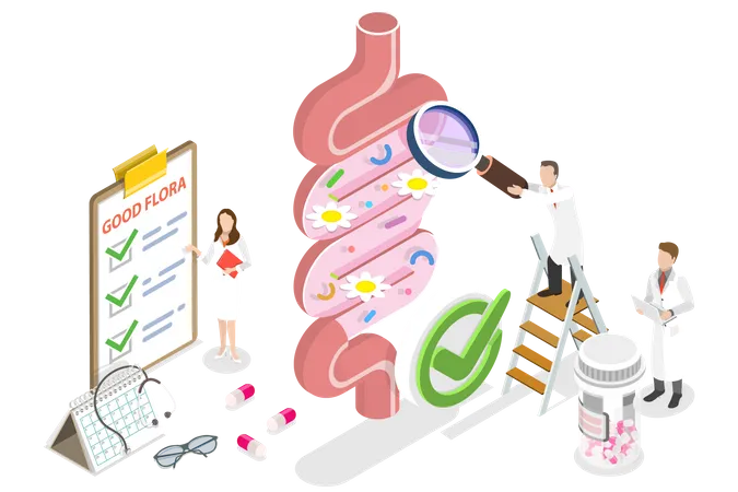 Ilustracion Conceptual De Vector Plano Isometrico 3 D De Salud Intestinal Microbiota Intestinal Saludable Ilustración