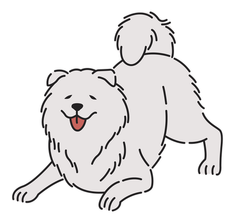 Samoyed dog  イラスト