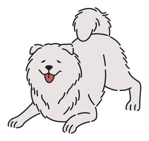 Samoyed dog  Illustration