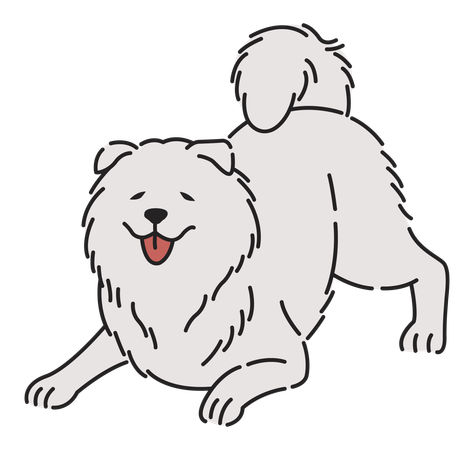 Samoyed dog  Illustration