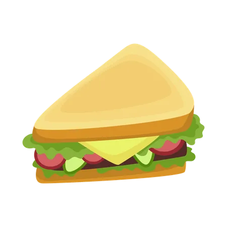 Sandwich  Illustration