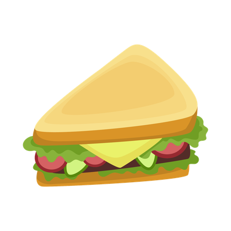 Sandwich  Illustration