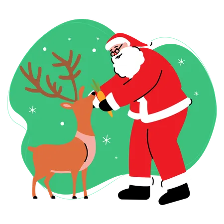 Santa Feeds Reindeer  Illustration