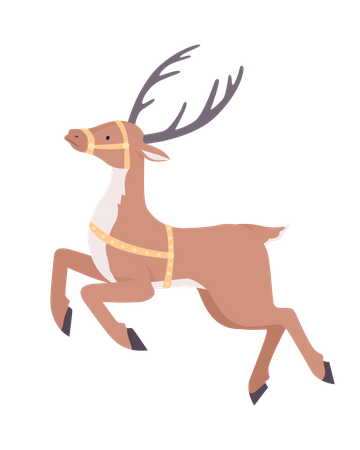 Santa reindeer Illustration
