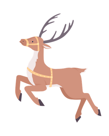 Santa reindeer  Illustration