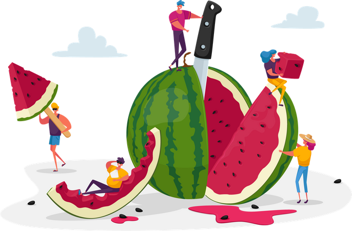 Scheibe Wassermelone  Illustration