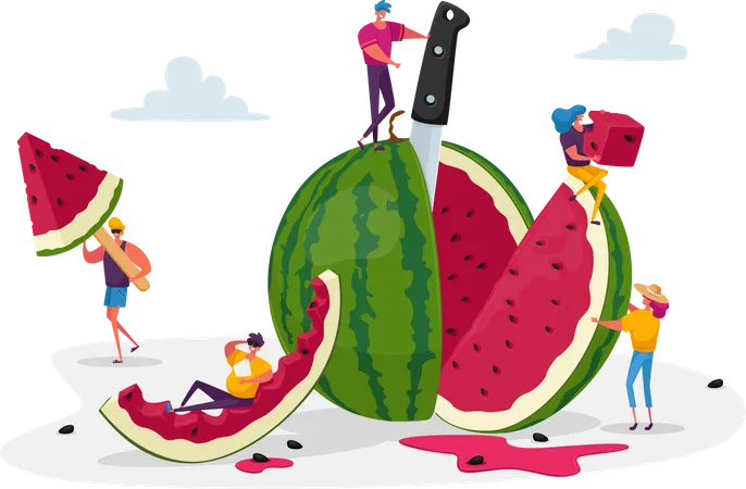 Scheibe Wassermelone  Illustration