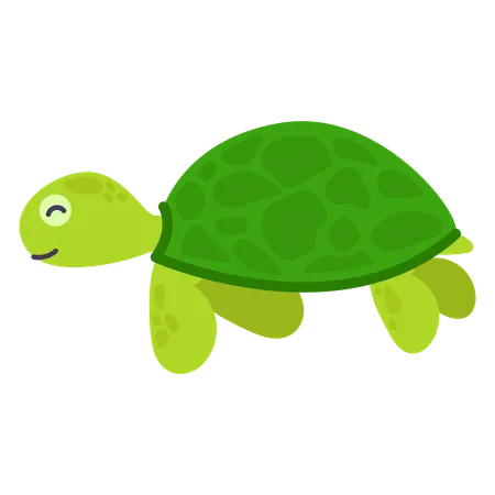 Schildkröte  Illustration